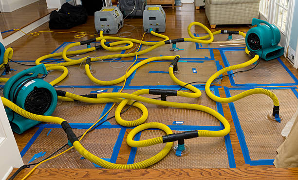 Professional Crawl Space Water Removal technician working in Martinsburg, MO